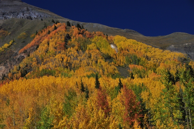 jeep tour to Brown Mountain